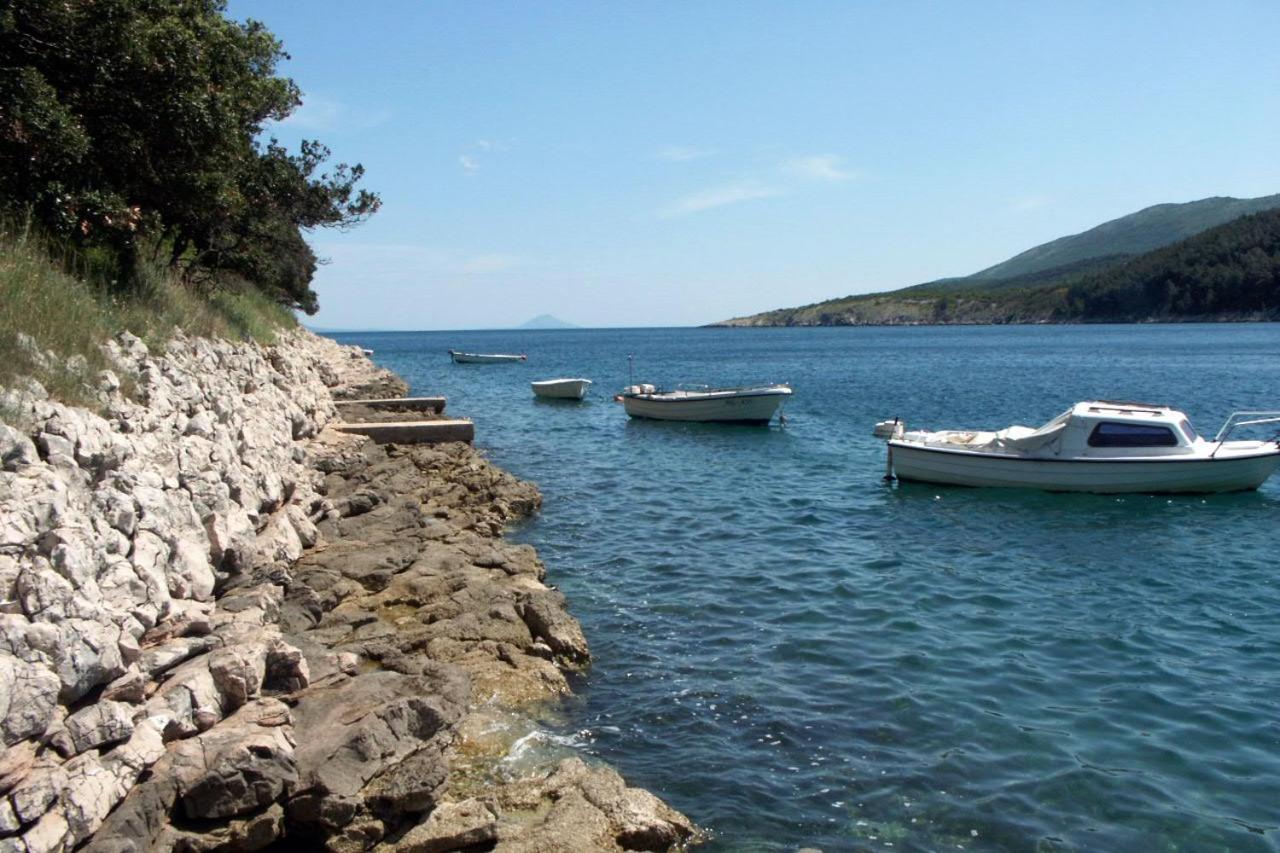 Apartments By The Sea Duga Luka - Prtlog, Labin - 2367 Drenje  Zewnętrze zdjęcie