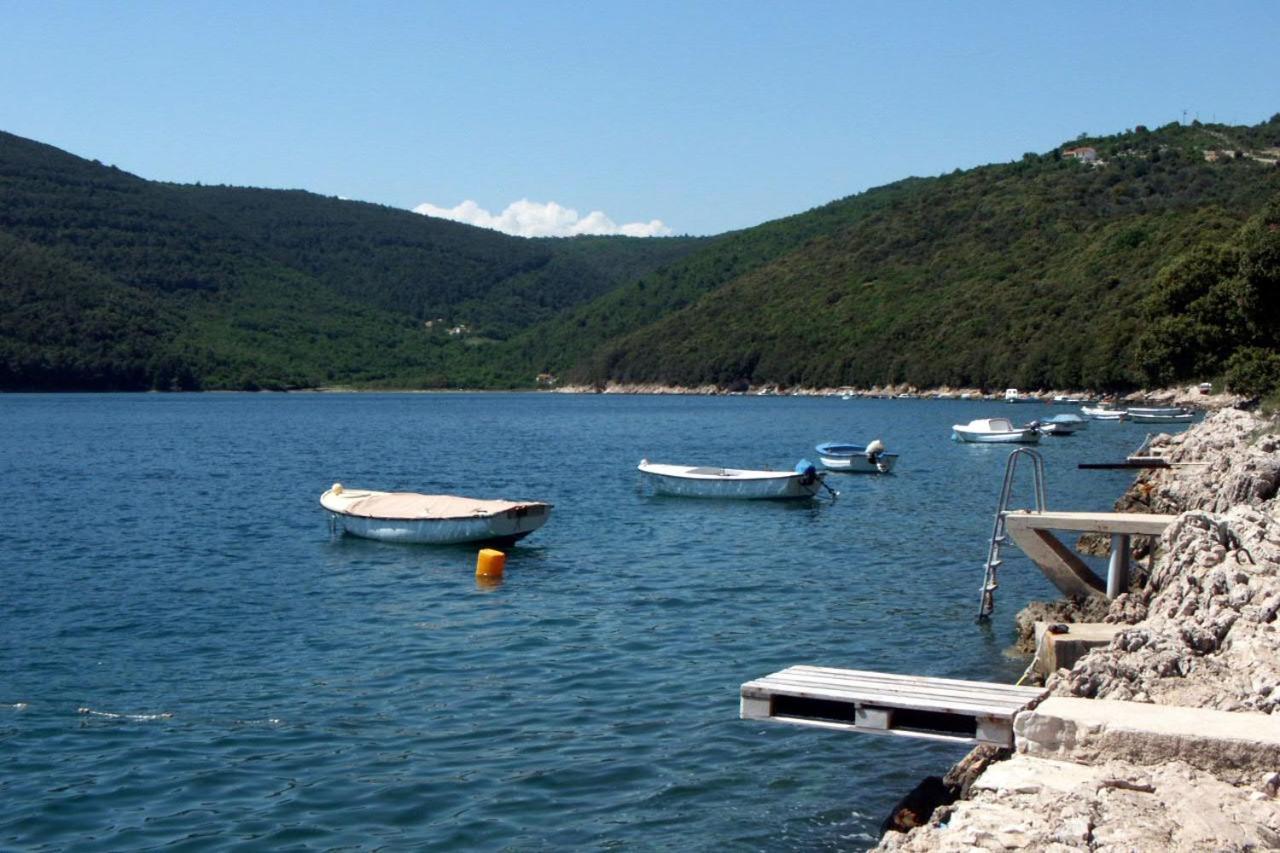 Apartments By The Sea Duga Luka - Prtlog, Labin - 2367 Drenje  Zewnętrze zdjęcie